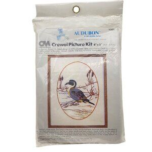 Audubon Wildlife CM Pintail Duck Crewel Picture Kit 4"x5" Wool Yarn 1980 Vtg